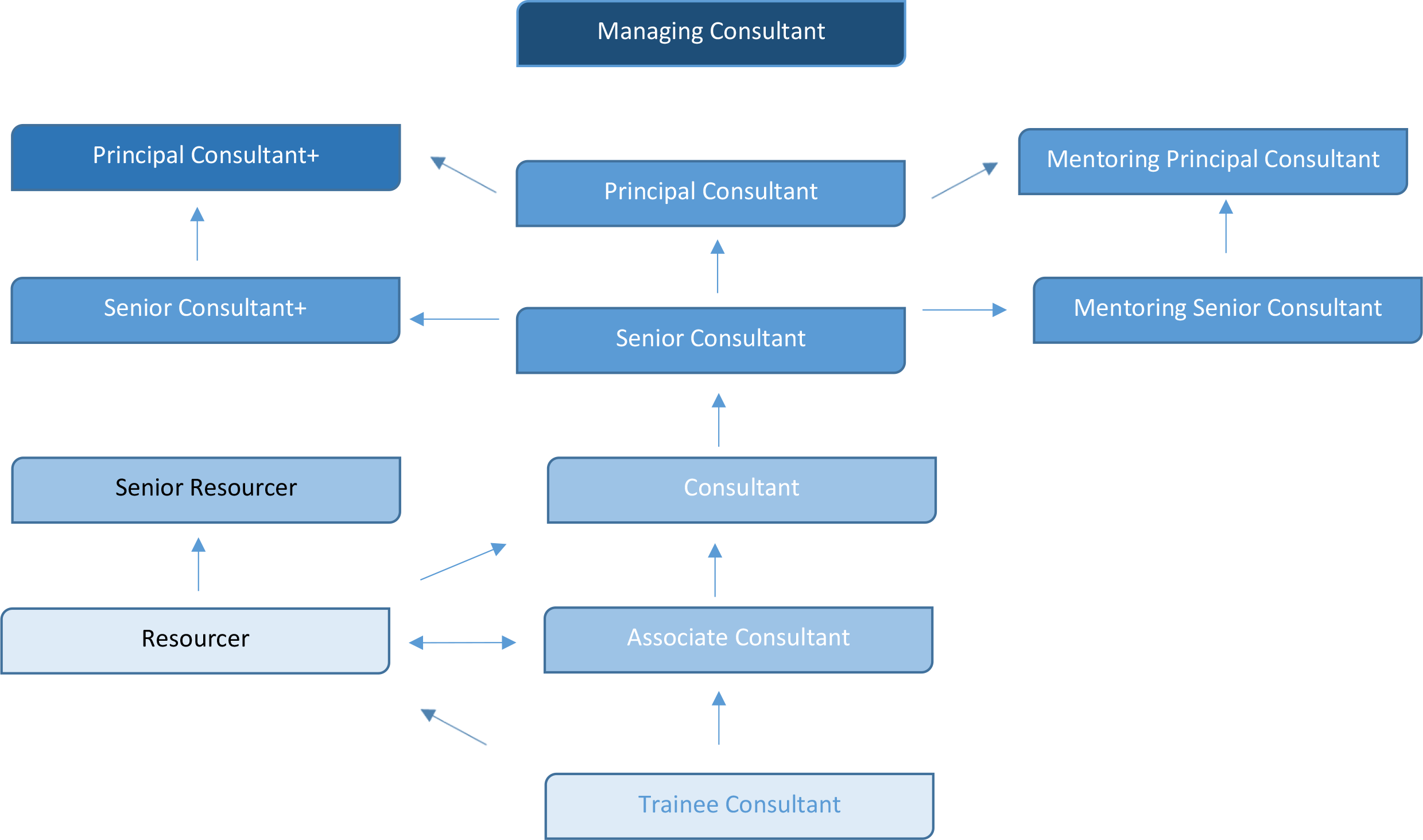 Blue-Pelican-Structure-and-Promotion-Route-(1)